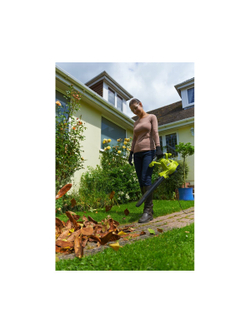 Воздуходувка Ryobi RBV3000CSV 5133002188