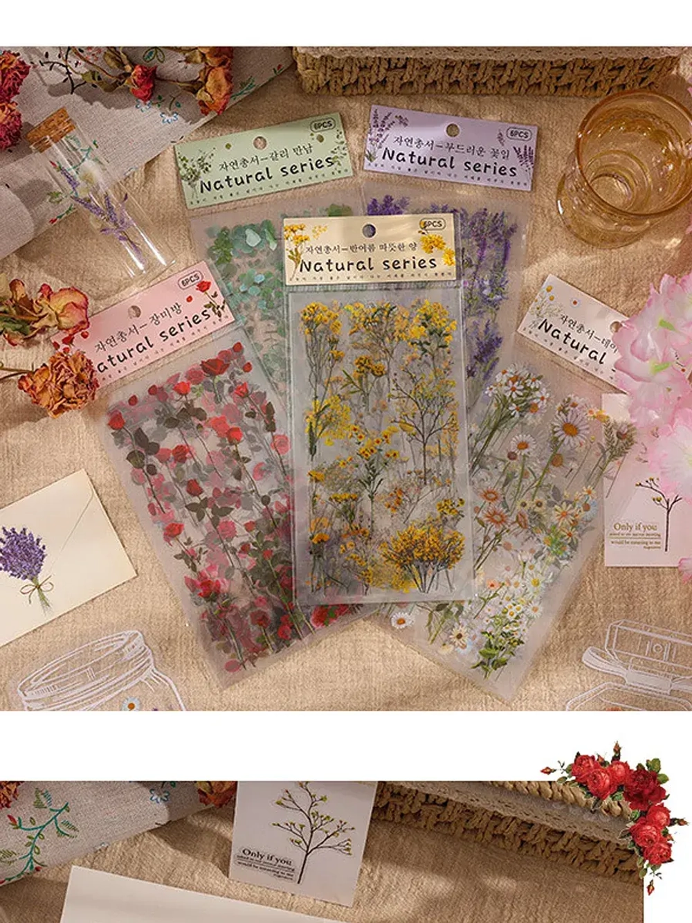 Наклейки флора на прозрачном фоне Тюльпаны