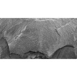 Плитка-сланец черный Mushroom Pharaon 200x400x10-20