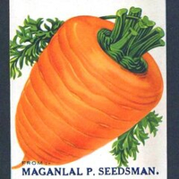 Гэрандская Древняя Крупная Полудлинная РАННЯЯ Морковь - Early Guerande Carrot