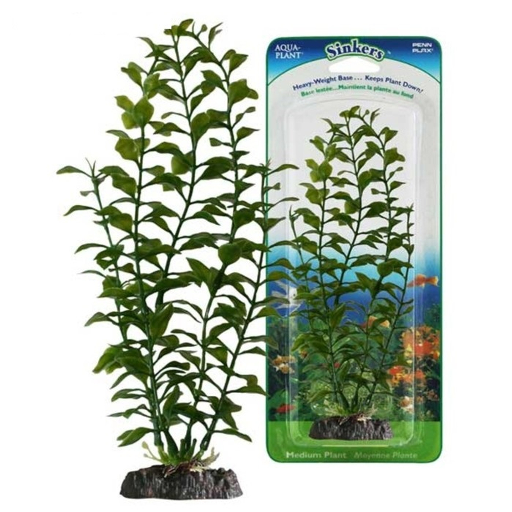 PENN-PLAX Растение BLOOMING LUDWIGIA грузом зеленое