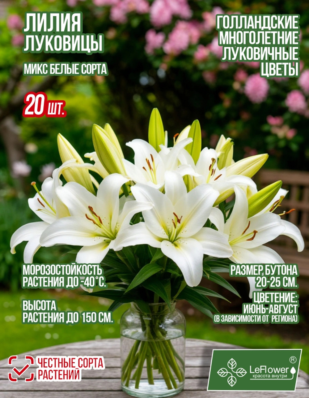 Лилия Луковица, Микс белых сортов, 20шт