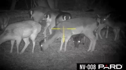 Цифровой прицел ночного видения PARD NV-008PLRF