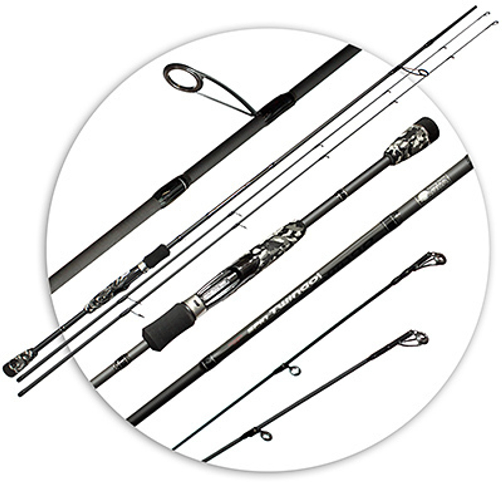 Спиннинг штекерный AQUA TWINGO