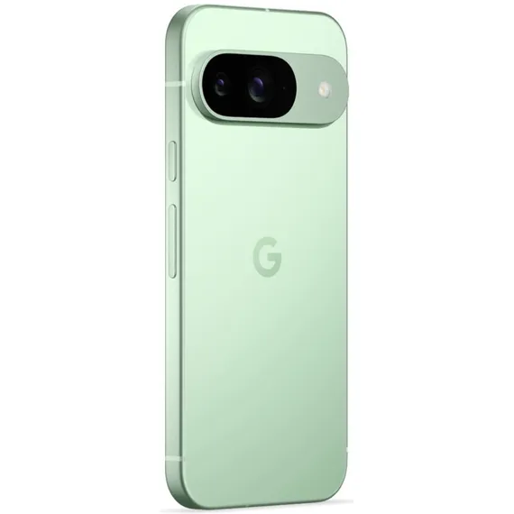 Смартфон Google Pixel 9 256 ГБ («Зимнезелёный» | Wintergreen) (версия Global)
