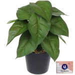 Цветок искусственный в горшке «Эпипремниум» 22см