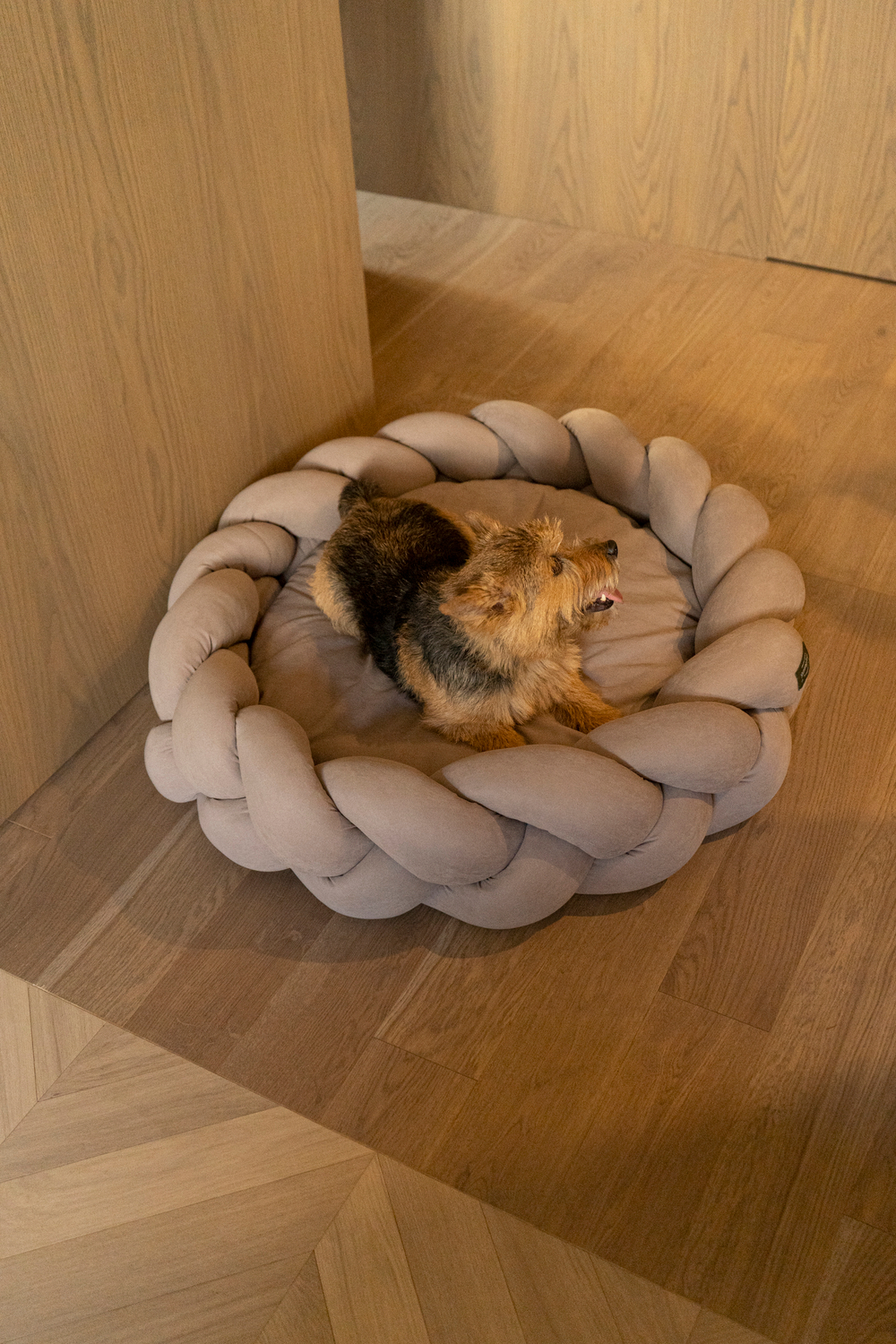 Лежанка "Пони-Колосони" Бежевая