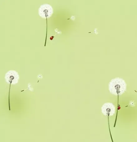 Dream World