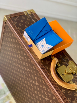 Louis Vuitton Pocket Organizer