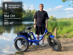 Электрический трицикл фэтбайк GreenCamel Трайк-F20 (500W 12Ah), Черный