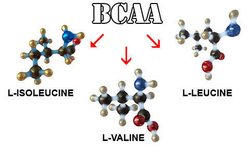 ВСАА (MegaProtein)