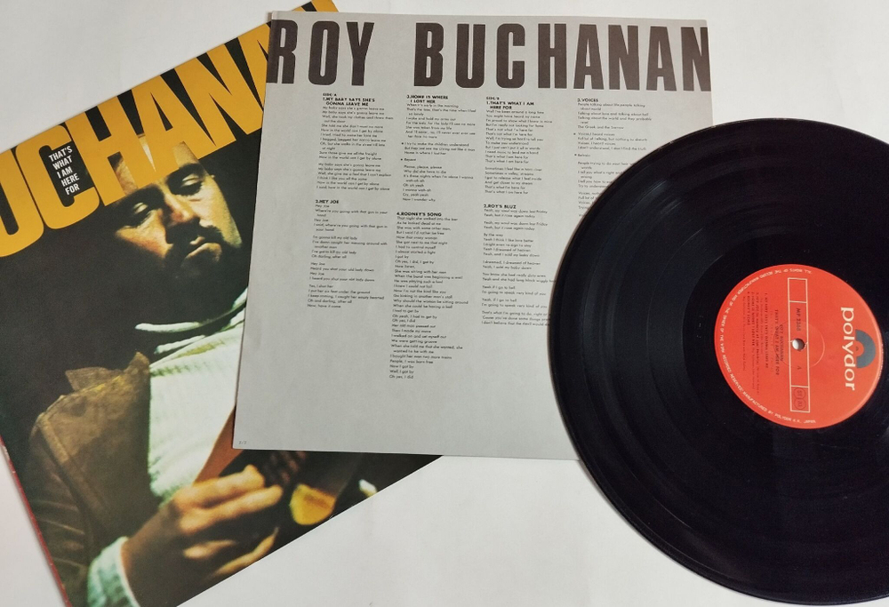 Винтажная виниловая пластинка Roy Buchanan That What I Am Here For (Japan 1974) (No Obi)