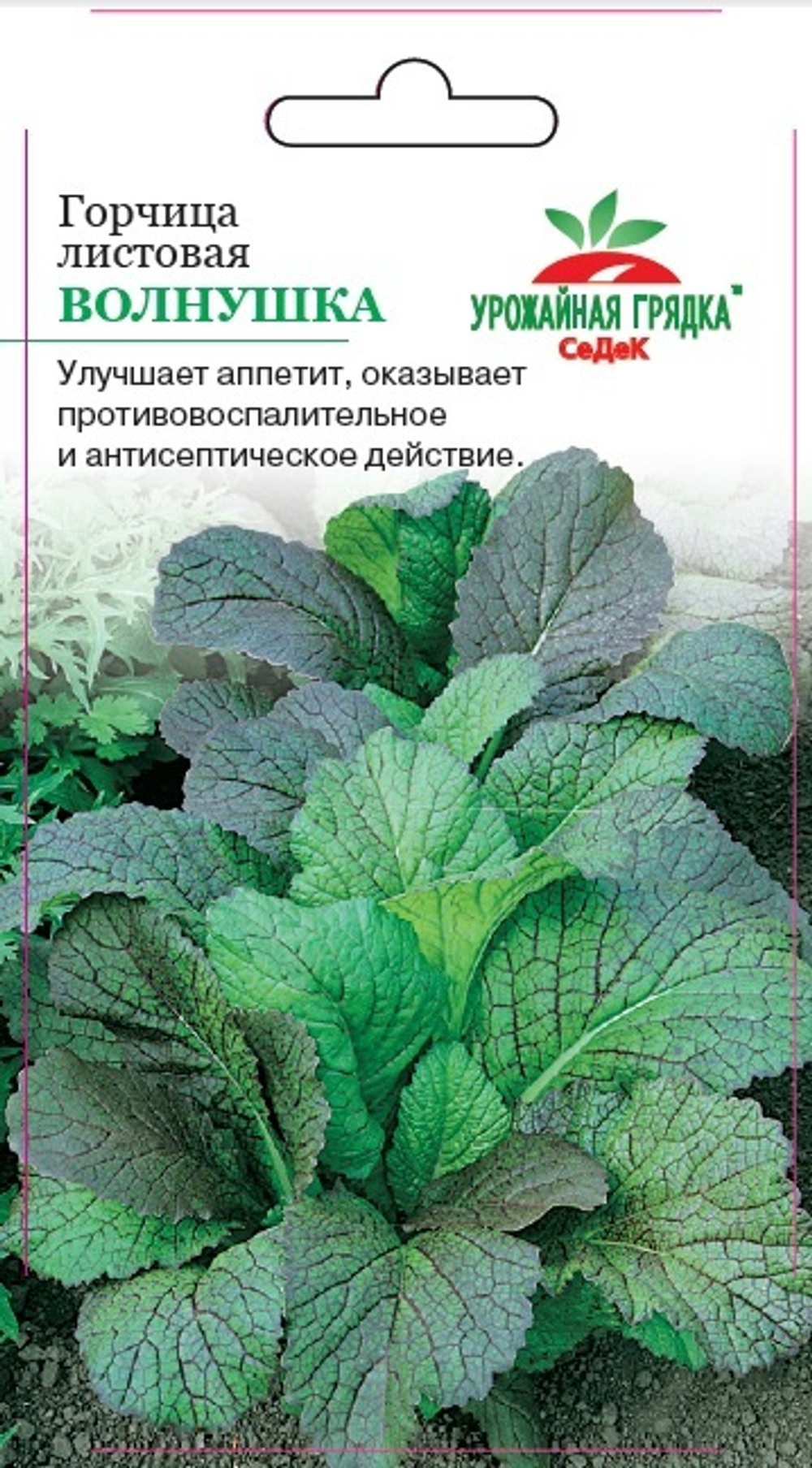 Горчица листовая Волнушка 1,0г СеДеК