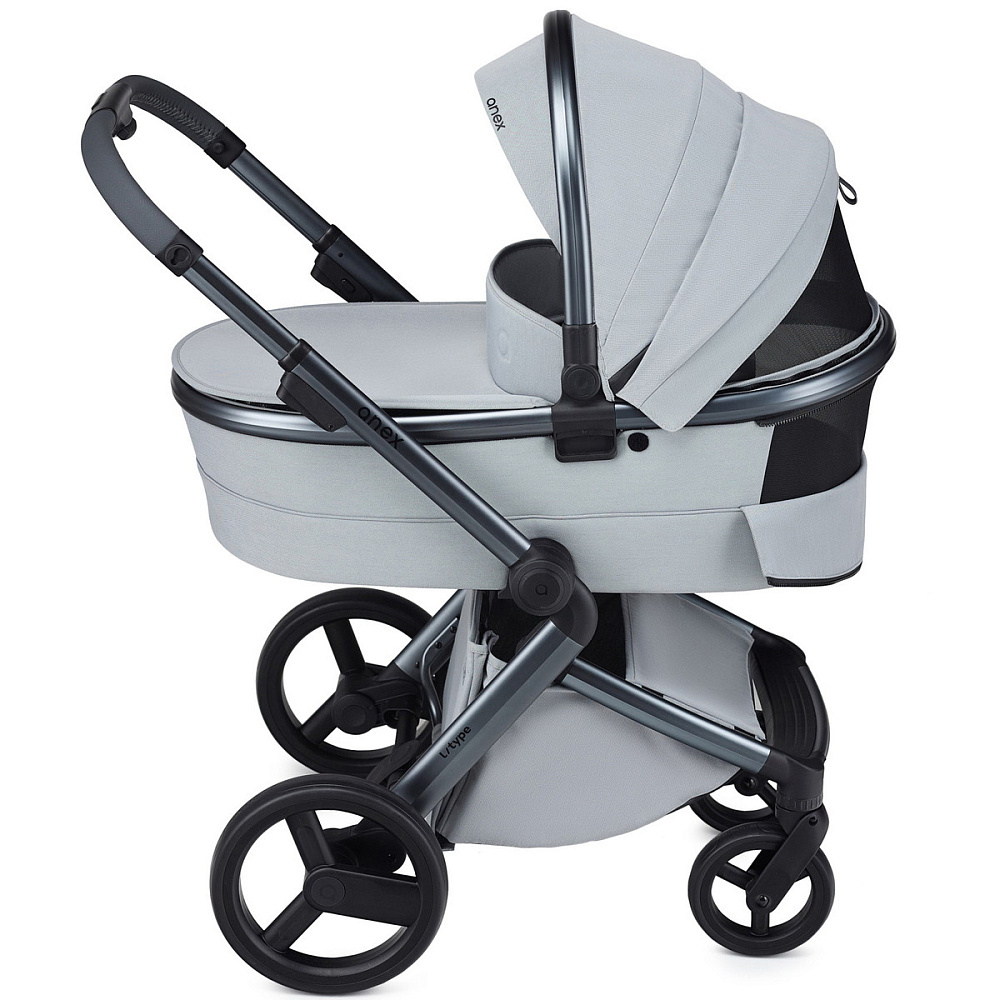 Детская коляска Anex l/type 2 в 1 с аксессуарами frost