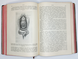 Eulenburg A., проф. Эйленбург А  Реальная энциклопедия практической медицины в XVII томах. 1909-1915