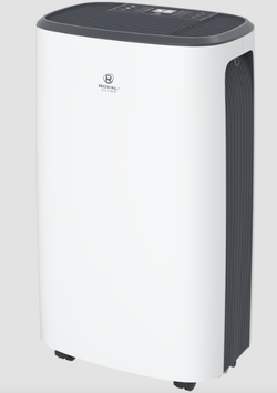 218_ Осушитель воздуха серии CARISMA Loft арт. RD-CR20-E ROYAL CLIMA