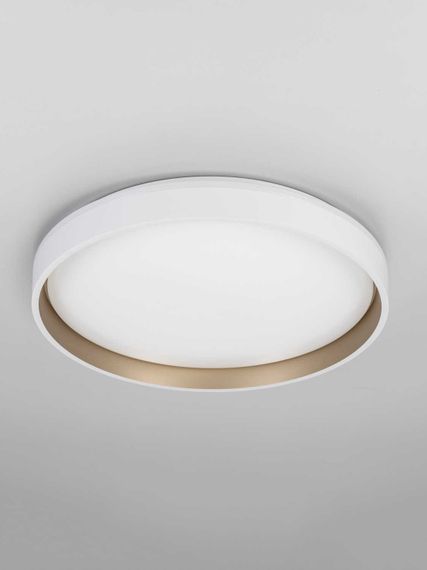 Светильник потолочный Citilux ENZO CL753450G