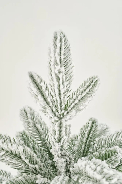 Ель искусственная Царь елка Беверли стройная заснеженная 230 см