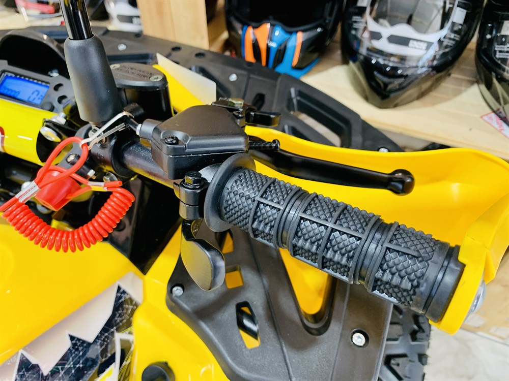 Квадроцикл FXMOTO HORNET 125