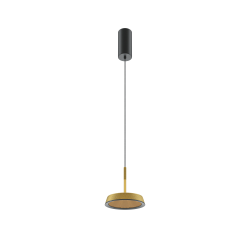 Подвесной светильник Maytoni MOD041PL-L15G3K