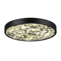 Настенно-потолочный светильник Odeon Light Bergi 5064/40L
