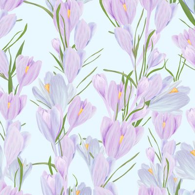 Крокусы на голубом