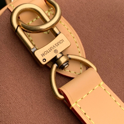 Louis Vuitton Speedy 25