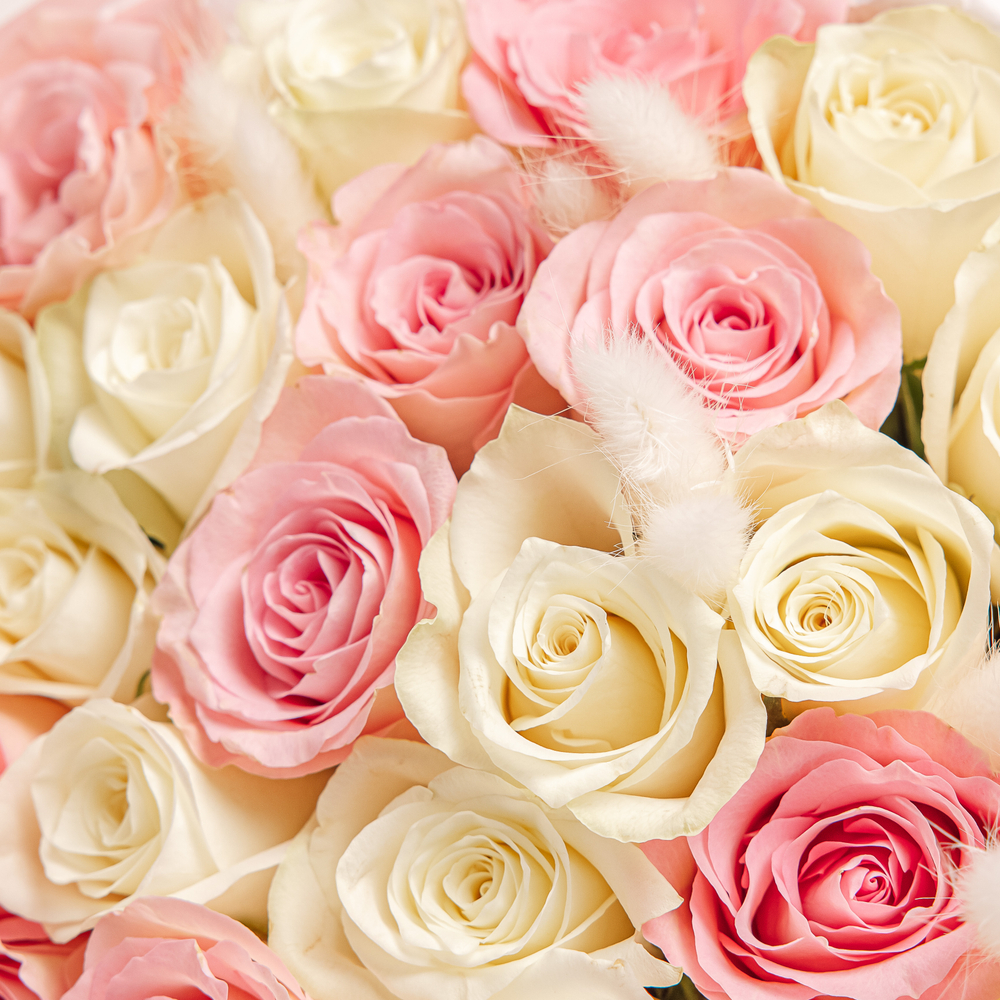 Нежный зефир