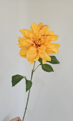 Георгин / Арт 2473