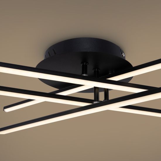 Потолочный светильник Freya FR6036CL-L40B