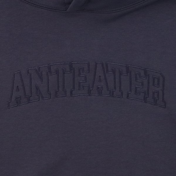 Худи Anteater Hoodie (grey) артикул: - купить в магазине Дайс