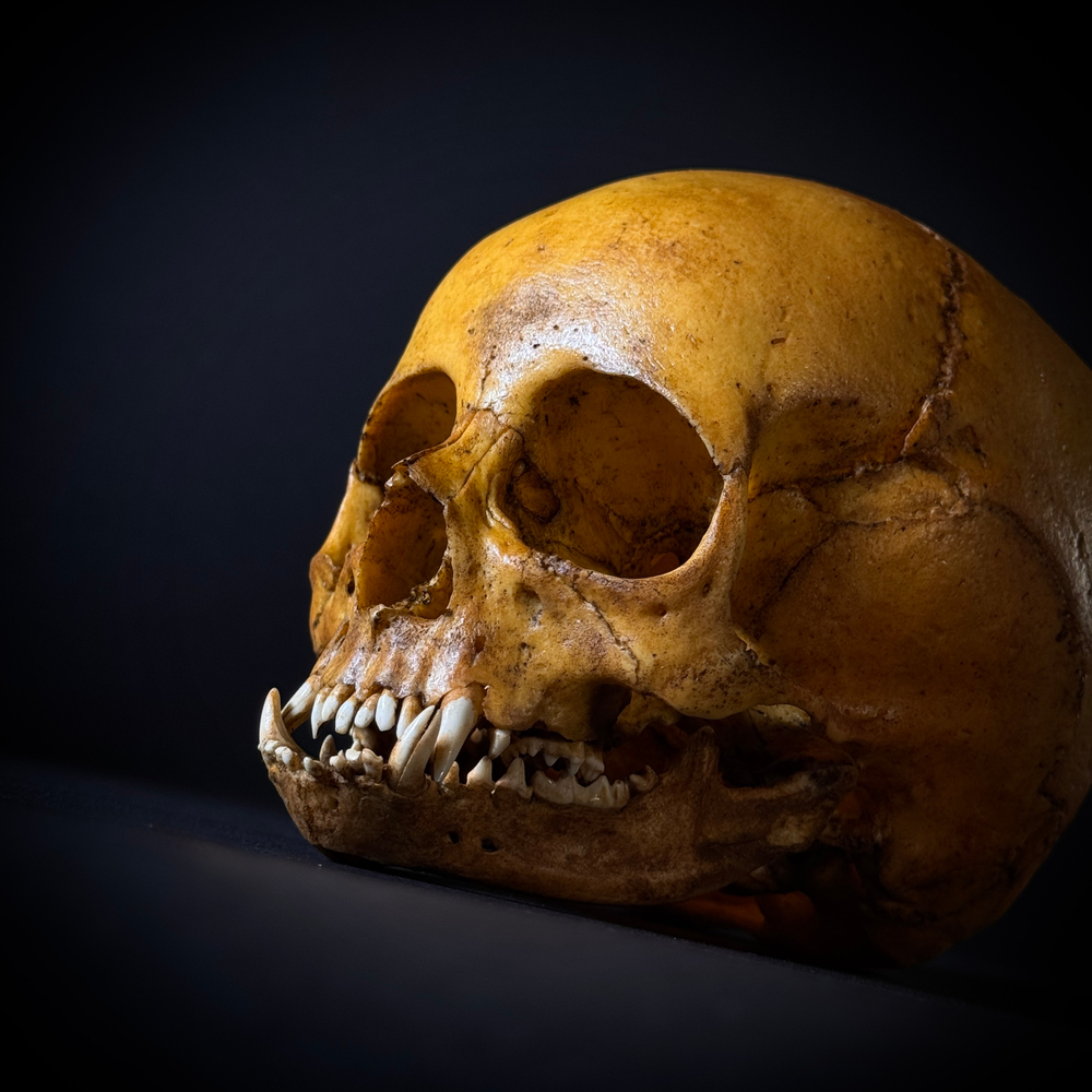 Маленький монстр