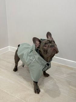 Универсальная куртка дождевик для собак Монморанси, цвет олива, размер L