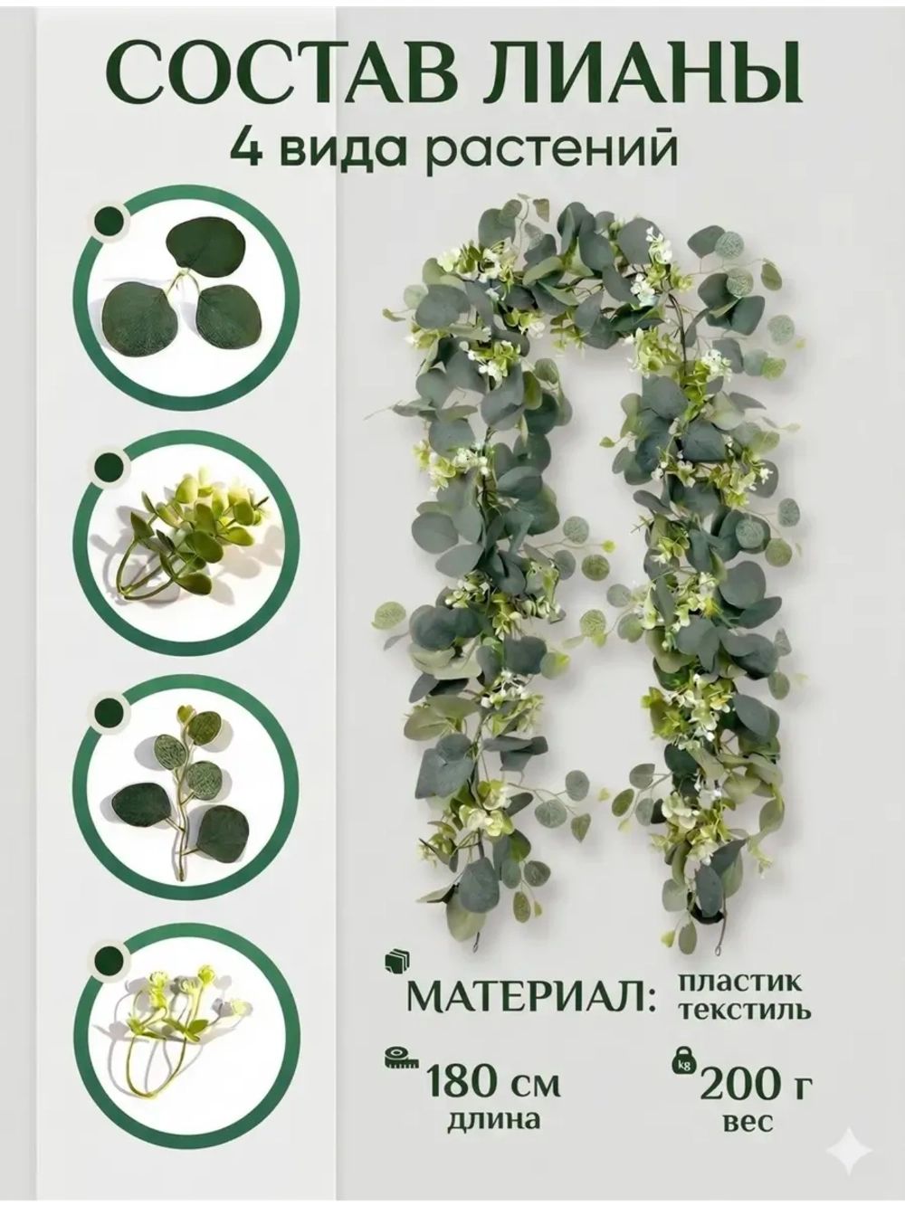 Лиана Эвкалипт папоротник