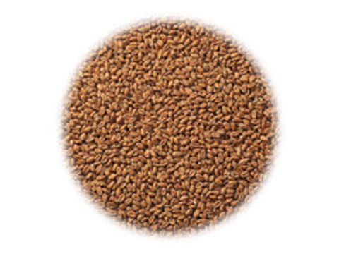 Солод Chateau Wheat Blanc (Шато Вит Блан)