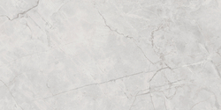 Connect Gris Керамогранит серый SG50002922R 59,5х119,1 полированный