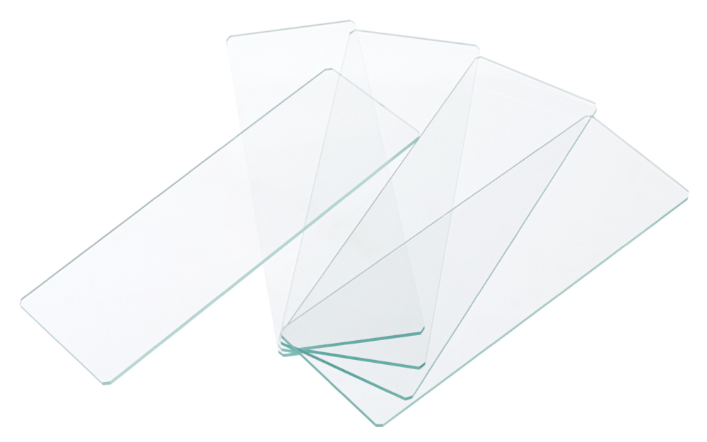 Стекла предметные Levenhuk G50, 50 шт.