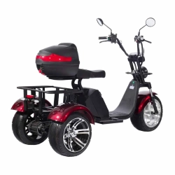 Электроскутер SKYBOARD CITYCOCO TRIKE BR80