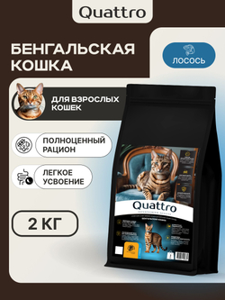 Корм сухой для взрослых кошек породы Бенгальская кошка, с лососем, 2 кг, QUATTRO