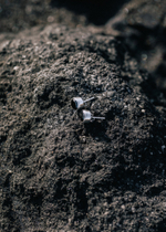 Серьги-пусеты с черным цирконом