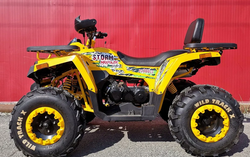 Квадроцикл PROMAX STORM 280 LUX