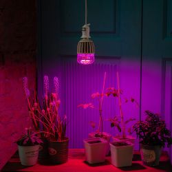 LED-M80-20W-SP-E27-CL ALS55WH Лампа светодиодная для растений. IP54. Форма M. прозрачная колба. Материал корпуса алюминий. Упаковка картон.