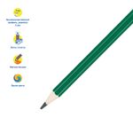 Карандаши цветные 24цв. Мульти-Пульти Енот в Индии