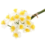 Цветок искусственный «Natur» 50см Нарциссы белые