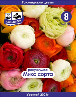 Корневище, Ранункулюс микс сортов, 8 шт