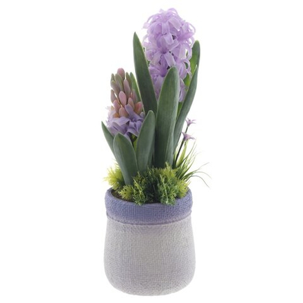 GAEM Цветочная композиция "Гиацинты" , L11 W10 H28 см