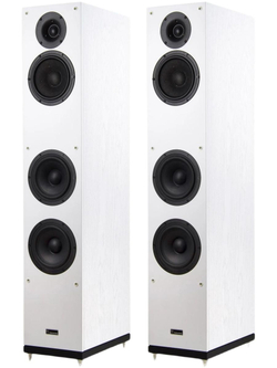 Напольная акустика Radiotehnika Gamma 3.03