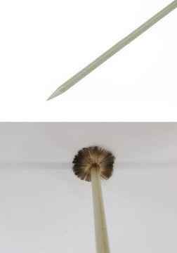 Стекловолоконная кисть (для реставрации, полировки, чистки)