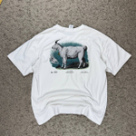 Футболка Nike ACG Goat