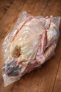 Гусь домашний